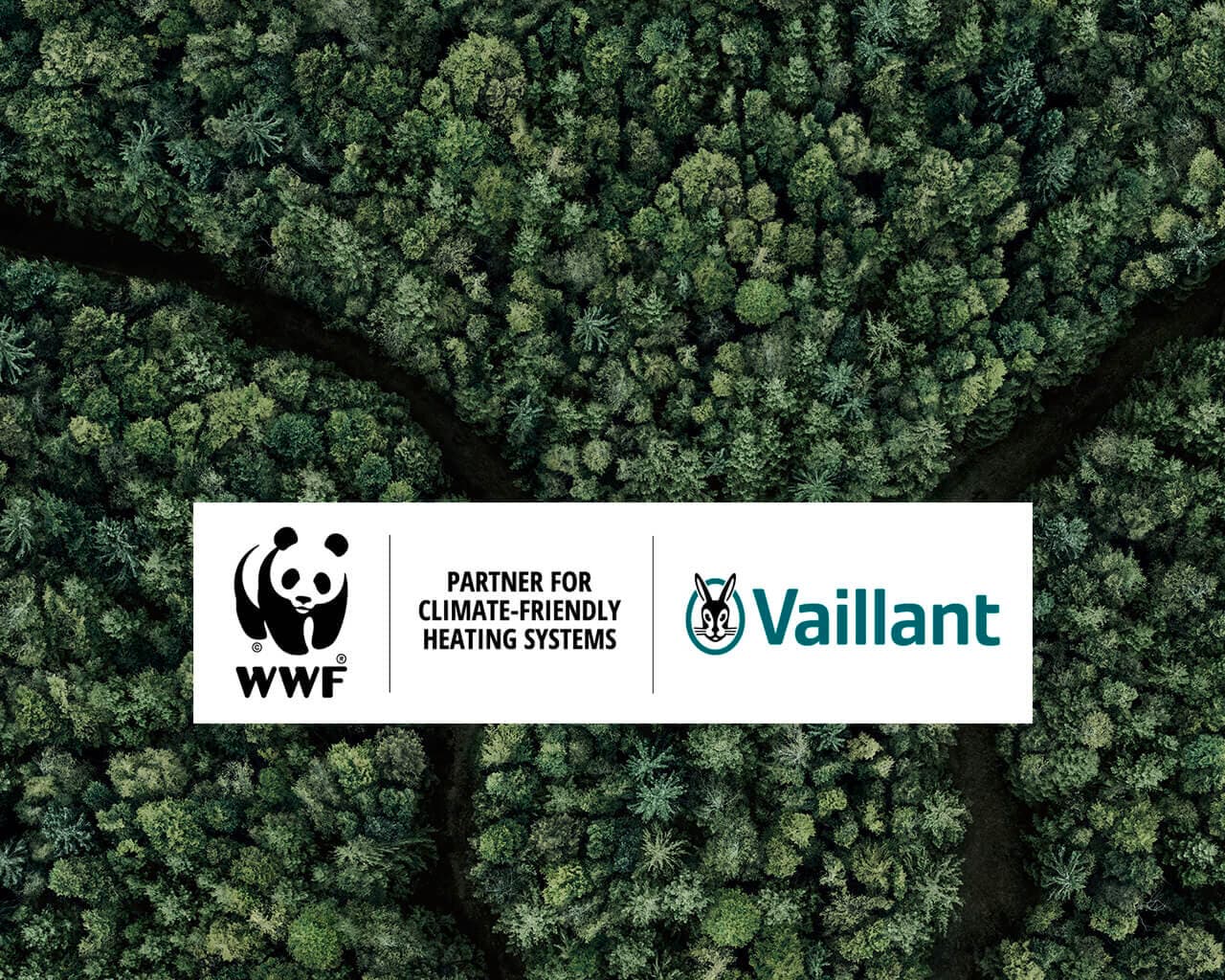 Wald mit WWF und Vaillant Logo im Vordergrund