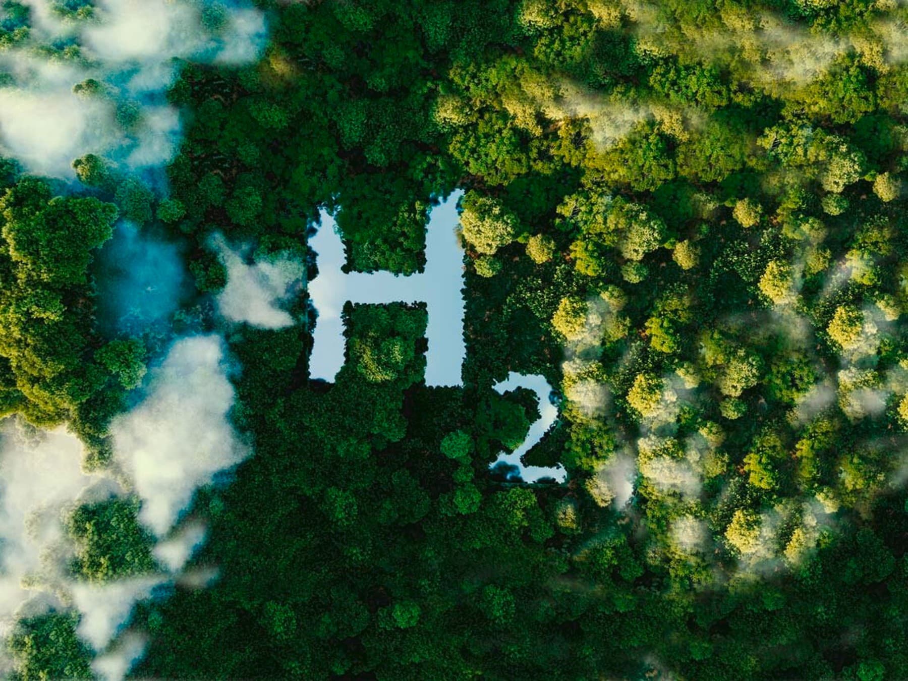 Grüner Wald von oben mit leichten Wolken in H2-Form