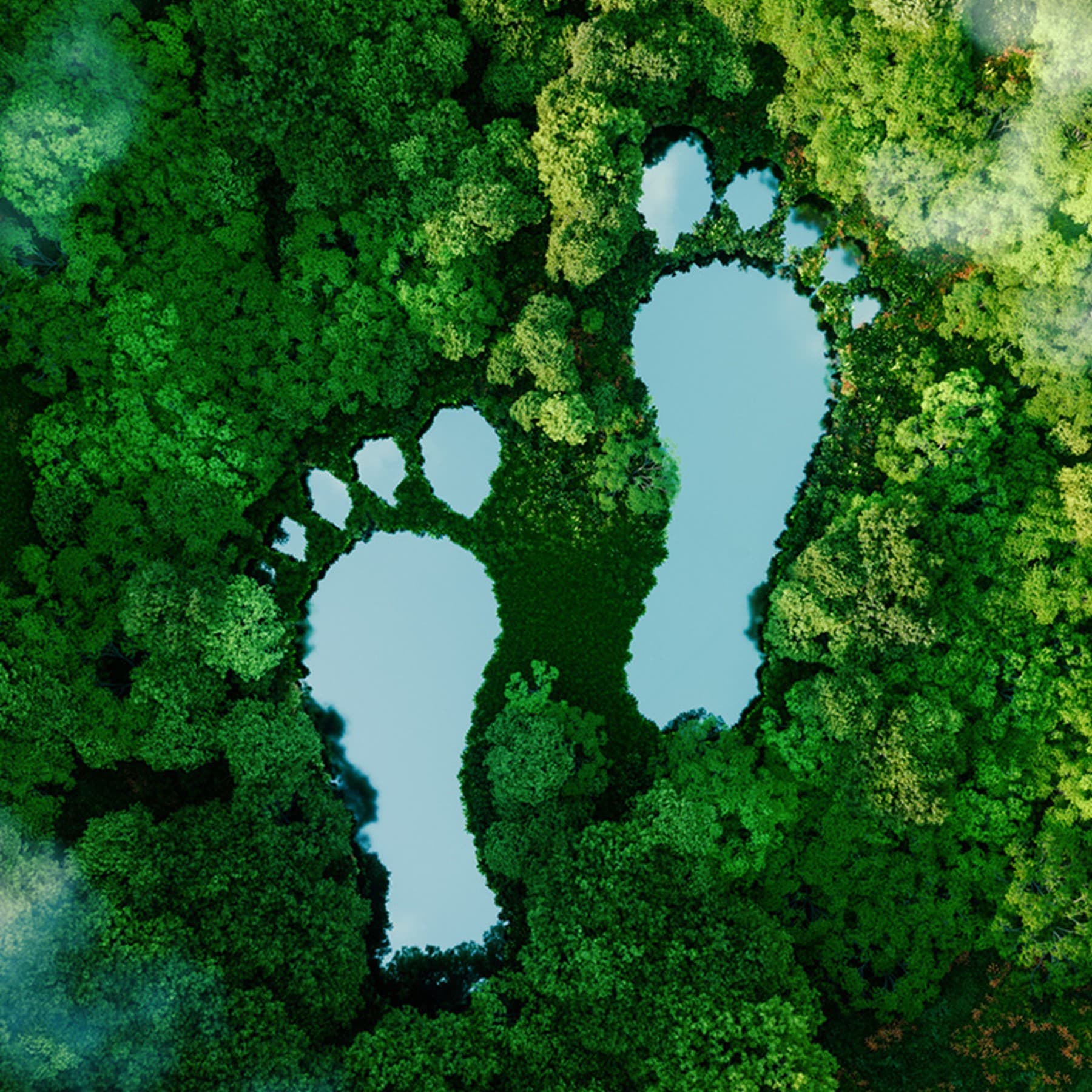 Fußabdrücke auf grünem Untergrund