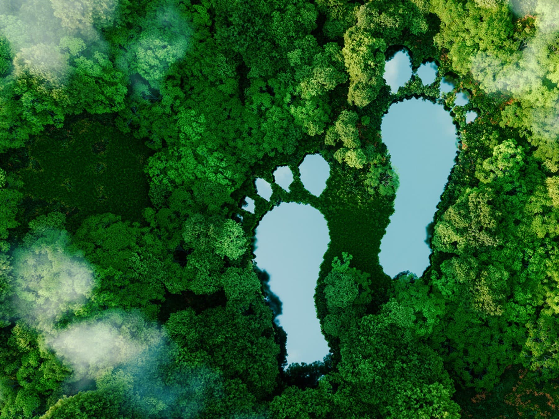 Grüner Wald von oben, Fußspuren als Hinweis auf CO2-Einsparung.