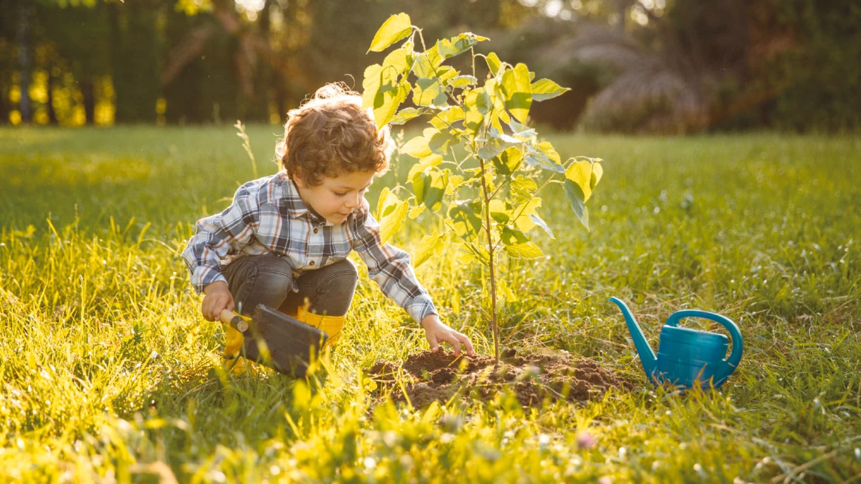 Kind pflanzt einen Baum